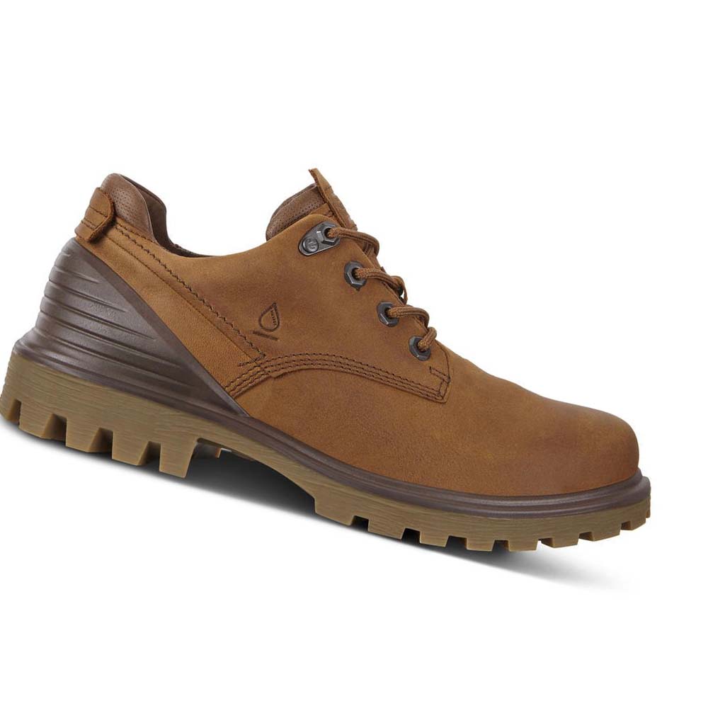 Men\'s Ecco Tredtray Hiking & Trail Brown | Canada 575PJJ